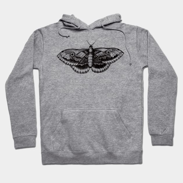 Dramabite Vintage butterfly illustration Hoodie by dramabite